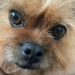 Meet your Posher, Ezekiel